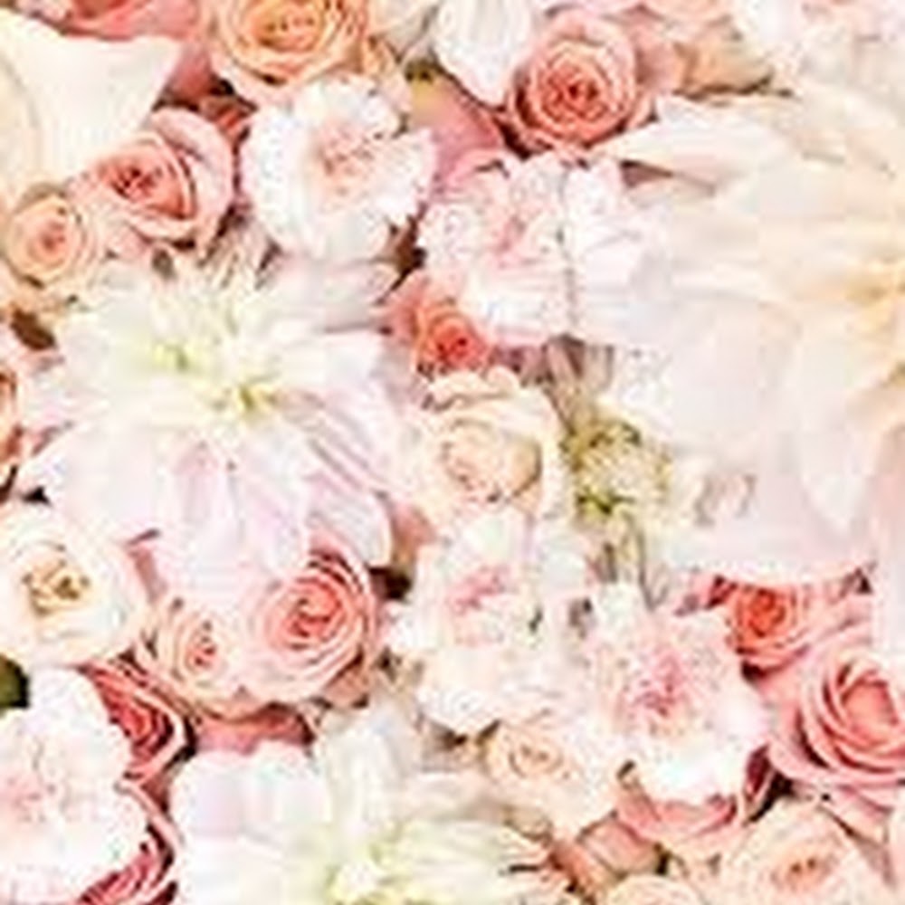 Meet your Posher, Marian